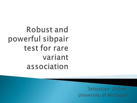 Robust and powerful sibpair test for rare variant association