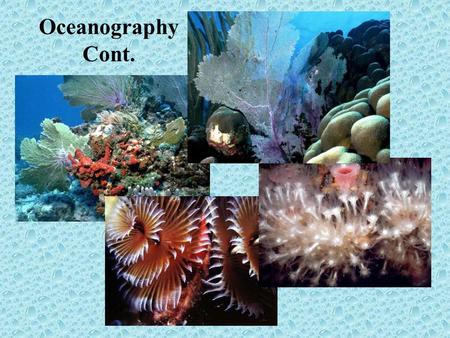 Oceanography Cont.. More about Ocean Water Salinity – the amount of dissolved salts in ocean water. 1 kg of ocean water contains 35 g of salt (average.