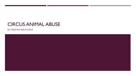 CIRCUS ANIMAL ABUSE BY: MEGHAN BIRCHFIELD. CIRCUS ANIMALS ARE ABUSED  Ringling Brothers are the most known circus group and is a major offender for animal.