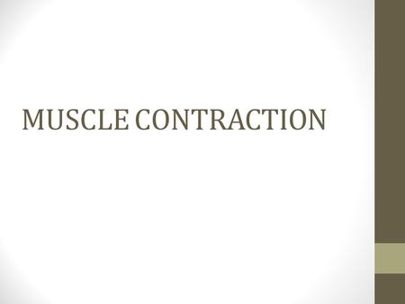 MUSCLE CONTRACTION. Microscopic Anatomy of Skeletal Muscle Sarcomere Contractile unit of a muscle fiber Figure 6.3b.