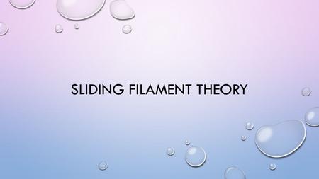 Sliding Filament Theory