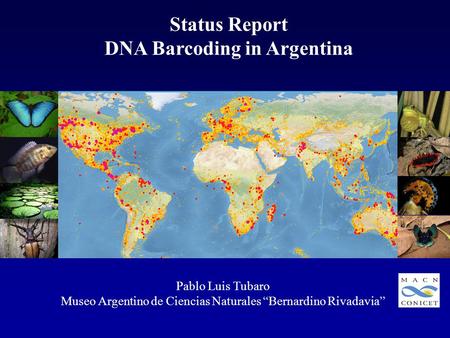 Status Report DNA Barcoding in Argentina Pablo Luis Tubaro Museo Argentino de Ciencias Naturales “Bernardino Rivadavia”