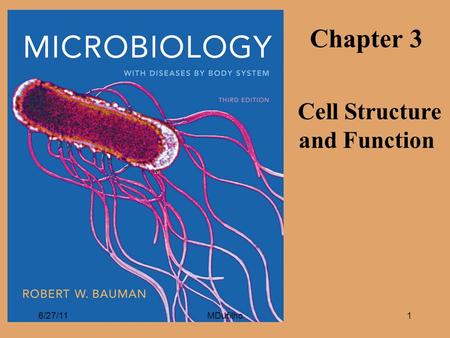 Cell Structure and Function