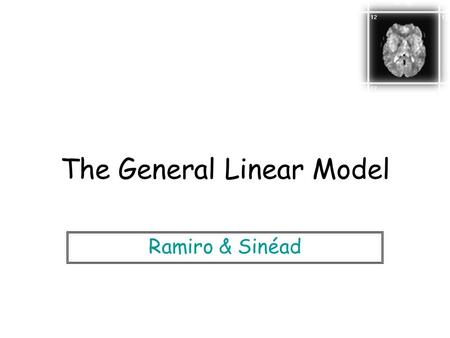 The General Linear Model