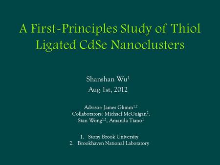 Shanshan Wu 1 Aug 1st, 2012 Advisor: James Glimm 1,2 Collaborators: Michael McGuigan 2, Stan Wong 1,2, Amanda Tiano 1 1.Stony Brook University 2.Brookhaven.