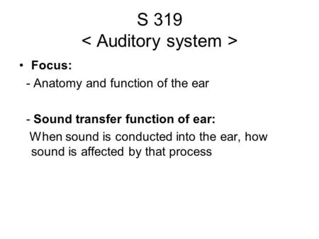 S 319 < Auditory system >