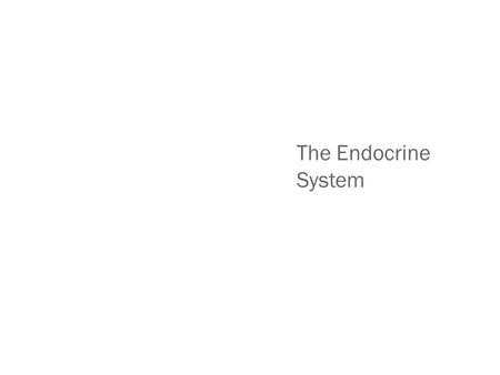 The Endocrine System.