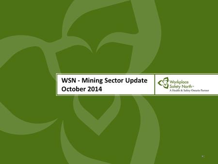 WSN - Mining Sector Update October 2014 11. Ontario Mining, Steel and Other Smelting Sector Injury Performance - 2013 Rate Group # Active Accounts #