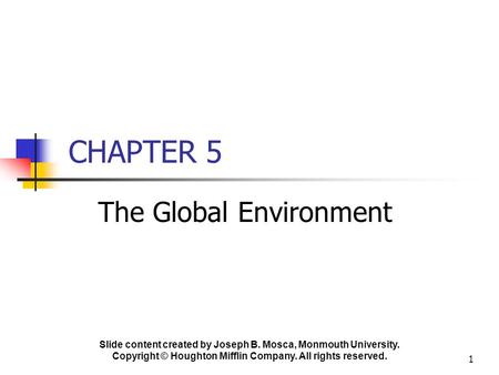 The Global Environment