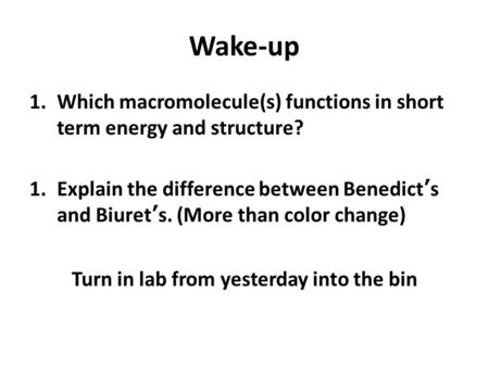 Turn in lab from yesterday into the bin