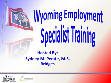 Hosted By: Sydney M. Perate, M.S. Bridges. Career Planning & Discovery – Phase 1: Person Planning (Discovering Who) – Phase 2: Job Exploration (Discovering.