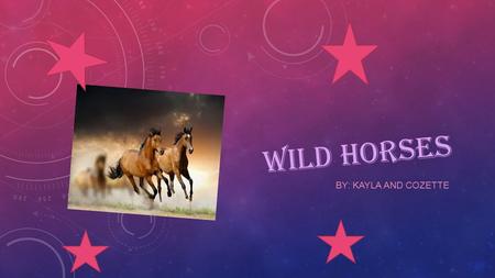 WILD HORSES BY: KAYLA AND COZETTE TABLE OF CONTENTS Introduction-1 Characteristics-2 Locomotion-3 Diet/Food Chain-4 Habitat-5 Adaptations-6 Life Cycle-7.