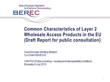 Common Characteristics of Layer 2 Wholesale Access Products in the EU (Draft Report for public consultation ) Cara Schwarz-Schilling, BNetzA Co-Chair NGN.