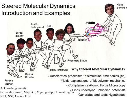 Why Steered Molecular Dynamics? - Accelerates processes to simulation time scales (ns) -Yields explanations of biopolymer mechanics - Complements Atomic.