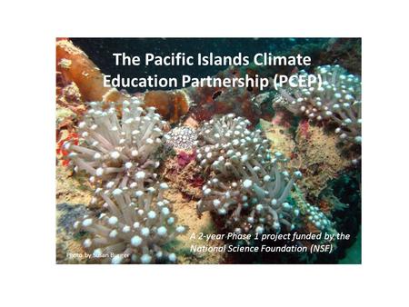 The Pacific Islands Climate Education Partnership (PCEP) A 2-year Phase 1 project funded by the National Science Foundation (NSF) Photo by Susan Burger.