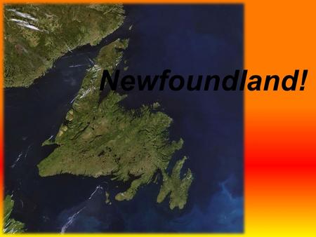 Newfoundland! GEOGRAPHY…. Newfoundland is a large island off the east coast of North America The island of Newfoundland (originally called Terra Nova)