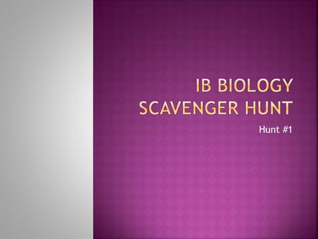 Hunt #1.  You will go on a scavenger hunt for items in your world that demonstrate at least 10 of the vocabulary words from the list of terms provided.