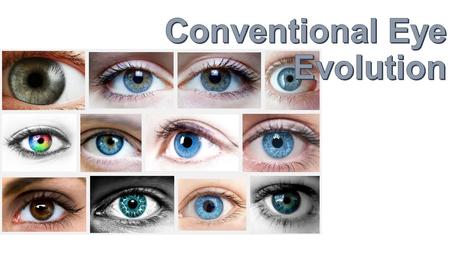 Conventional Eye Evolution