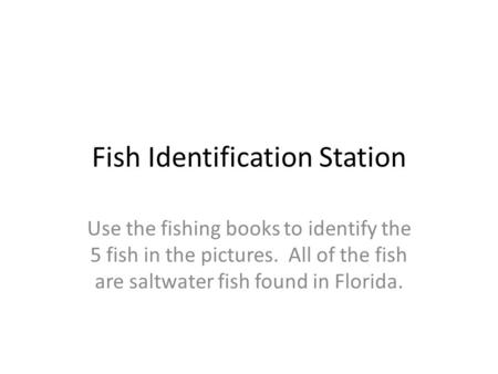 Fish Identification Station Use the fishing books to identify the 5 fish in the pictures. All of the fish are saltwater fish found in Florida.