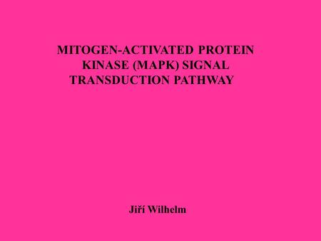 MITOGEN-ACTIVATED PROTEIN KINASE (MAPK) SIGNAL TRANSDUCTION PATHWAY