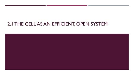 2.1 THE CELL AS AN EFFICIENT, OPEN SYSTEM. TO DO  Using the textbook and your work book, fill in the cell structures and their functions. Pages 267-270.