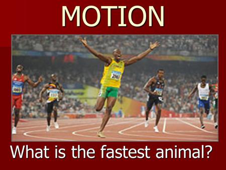 MOTION What is the fastest animal?. 180 mph (290 km/hr) What is the fastest mammal? What is the fastest mammal?