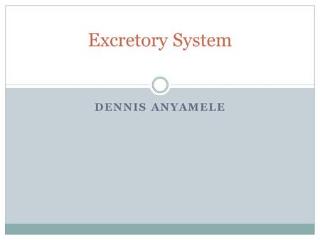 Excretory System Dennis Anyamele.