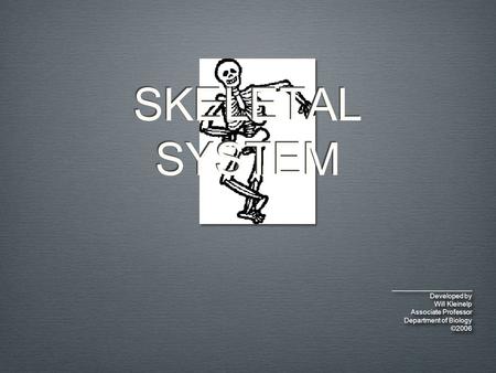 SKELETAL SYSTEM _____________________ Developed by Will Kleinelp Associate Professor Department of Biology ©2006_____________________ Developed by Will.