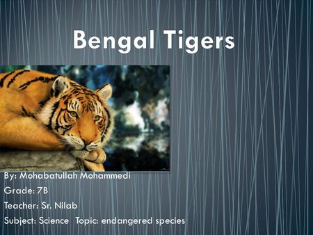 By: Mohabatullah Mohammedi Grade: 7B Teacher: Sr. Nilab Subject: Science Topic: endangered species.