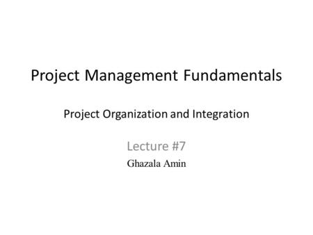 Project Management Fundamentals Project Organization and Integration