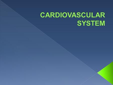  Fully formed by the 4 th week of embryonic development  Hollow Muscular Organ That Acts as a Double Pump  Continuous pump - once pulsations begin,