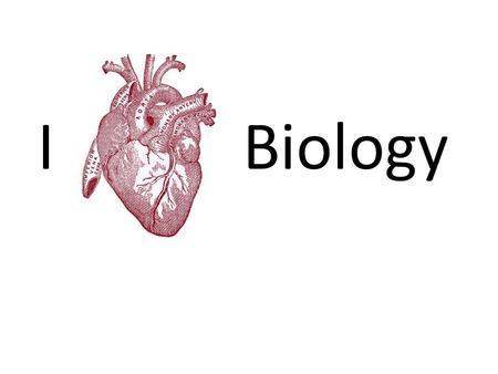 I Biology. Movement of Blood Simplified on Page 319.