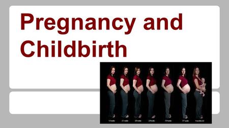 Pregnancy and Childbirth. Why has the fertility rate changed over time? ●Better healthcare and nutrition. Fewer children die because of childhood diseases.