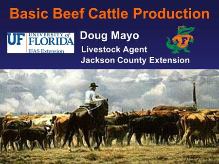 Basic Beef Cattle Production Doug Mayo Livestock Agent Jackson County Extension.