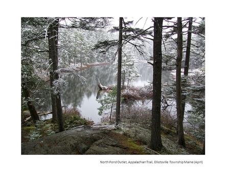 Little Wilson falls, Appalachian Trail, Elliotsville township, Maine (April)