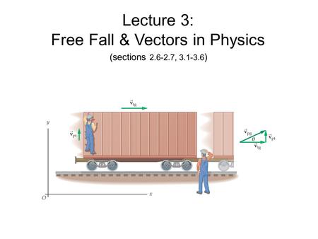 Free Fall & Vectors in Physics