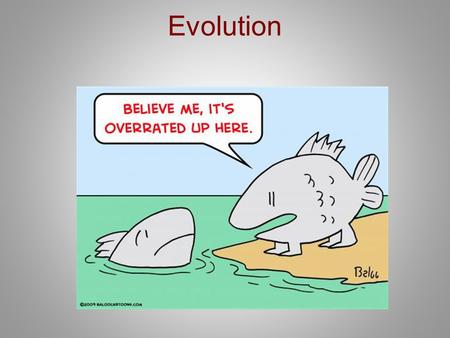 Evolution. Change in a population of organisms over time. Cladogram – a chart that shows an organism’s evolutionary history.