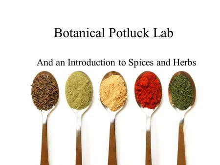 Botanical Potluck Lab And an Introduction to Spices and Herbs.