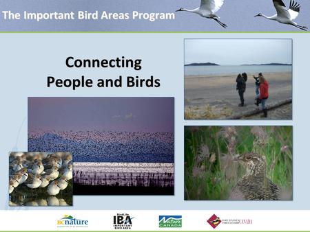 The Important Bird Areas Program Connecting People and Birds.