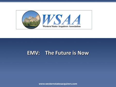 EMV: The Future is Now. Moderator: Jason Putnam Vice President of Sales, First American Payment Systems Panelists: Patty Walters Senior Vice President.