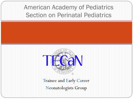 American Academy of Pediatrics Section on Perinatal Pediatrics Trainee and Early Career Neonatologists Group.