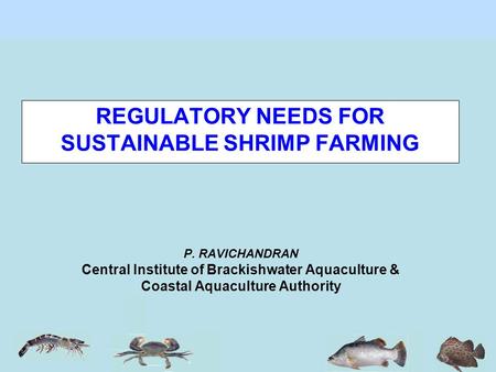 P. RAVICHANDRAN Central Institute of Brackishwater Aquaculture & Coastal Aquaculture Authority REGULATORY NEEDS FOR SUSTAINABLE SHRIMP FARMING.