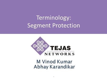 1 Terminology: Segment Protection M Vinod Kumar Abhay Karandikar.