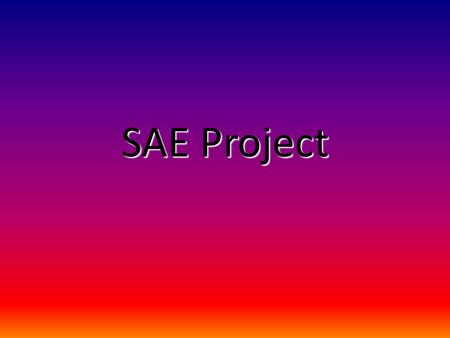 SAE Project. What did I do? Rode and took care of my horse, Calisto Helped give Calisto the care he needed to get through his relapse of laminitis Researched.