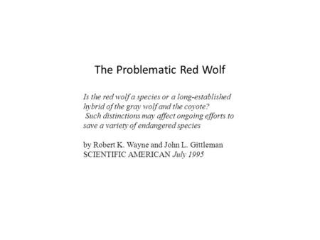 The Problematic Red Wolf Is the red wolf a species or a long-established hybrid of the gray wolf and the coyote? Such distinctions may affect ongoing efforts.