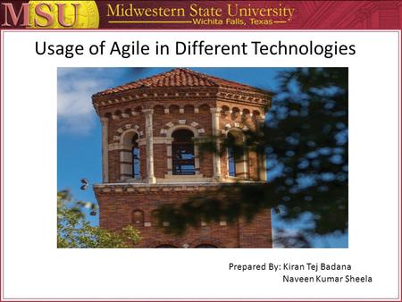 Usage of Agile in Different Technologies