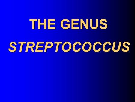 THE GENUS STREPTOCOCCUS