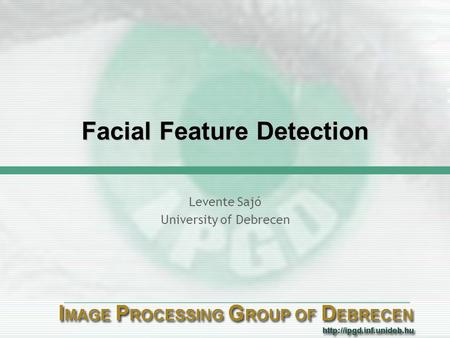 Facial Feature Detection