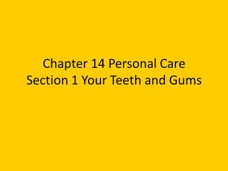 Chapter 14 Personal Care Section 1 Your Teeth and Gums