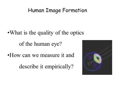 Human Image Formation What is the quality of the optics of the human eye? How can we measure it and describe it empirically?